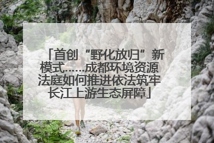 首创“野化放归”新模式……成都环境资源法庭如何推进依法筑牢长江上游生态屏障